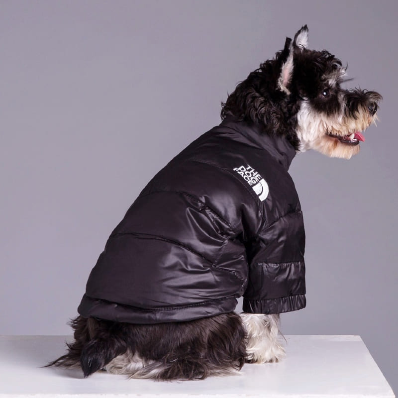 EXLUSIVE PUFPUP™ | Hund ansikte Puffer Jacket