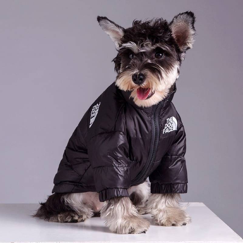 EXLUSIVE PUFPUP™ | Hund ansikte Puffer Jacket